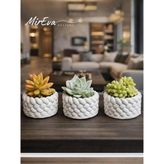 MSP Mini Saksı Seti 5 cm – El Yapımı Dekoratif Beton Saksı | Küçük Sukulent Saksısı, Masa & Raf Dekoru, Modern Minimal Tasarım (Bitki Dahil Değildir)