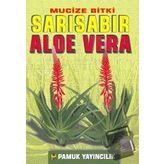 Mucize Bitki Sarı Sabır Aloe Vera (Bitki-017)