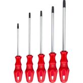 MUJGAN Hon 5 Parça Torx Tornavida Seti