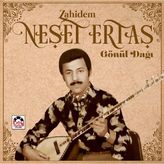 MUJGAN Neşet Ertaş Zahidem Gönül Dağı Plak