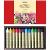 Mungyo MAO12 12 Renk Pastel Boya