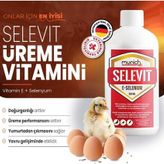 Munich Vet Selevit 500 ml Üreme Vitamini