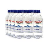 Munzur Su Cam Şişe 330 ml 12'li