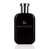 Muscent M092 50 ml Erkek Parfüm