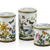Muse Garden Dekoratif Porselen Kavanoz Seti, Kelebek ve Çiçek Desenli, 3 Parça, 10-16 cm