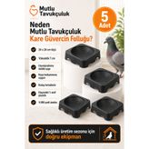 MUTLU TAVUKÇULUK Foluk Güvercin Folluğu Kare 5 Adet Yumurtalık Plastik Pigeon Yuva Yuvalık Kuş Kümes Ekipmanları
