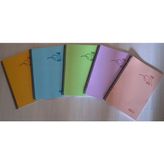Müzik Defter A4 - 30 Yaprak Karton Kapaklı