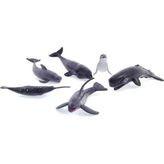 Myg Plus Model Memeli Deniz Hayvanları