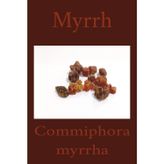 Myrrh: Commiphora myrrha