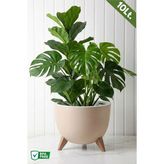 Nandy Home Ufo Model Saksı - 10LT. Saksı - Yuvarlak Modern Saksı - Bej