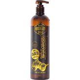 Nano Absolute Şampuan 500 ml Güçlü Parlak