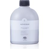 Native Base Nativebase Saç Yoğunluğunu Arttıran Argan Şampuanı