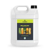 Naturwin Bellis Mix Npk'lı Organomineral Gübre 5 Lt