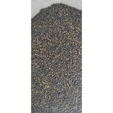 NESLİGEN MACAR FİG TOHUMU 25 KG