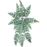 Netten Evime Yapay Çiçek Pastel Cycas Aşk Merdiveni 80cm Eğrelti Otu Sıkas Bitkisi 12 Yaprak 40*80cm Yapay Bitki