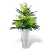 nettenevime Yapay Çiçek Areka Salon Bitkisi Beyaz Uzun Kumsal Vazoda 130cm 45Yaprak