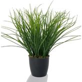 nettenevime Yapay Çiçek Grass Saz Yapay Bitki Siyah Plastik Saksılı Dekoratif Süs Çiçeği