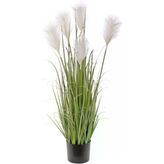 nettenevime Yapay Çiçek Saksılı Salon Bitkisi Beyaz Püskül Grass Panpas