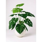 Nettenevime Yapay Çiçek Salon Bitkisi Monstera 70cm 18 Yaprak Beyaz Küre Saksıda Yeşil