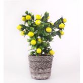 nettenevime Yapay Çiçek Seramik Saksıda Limon Ağacı