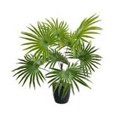 nettenevime Yapay Çiçek Yelpaze Palmiye 8 Dal 50*40cm Salon Çiçeği Plastik Siyah Saksılı Yapay Bitki
