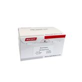 NEWDAYS Sığır Gebelik Testi 5'li Paket