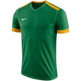 Nike 894312-302 Yeşil Erkek Forma