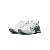 Nike Air Max Alpha Trainer 6 Erkek Antrenman ve Spor Salonu Ayakkabısı FQ1833-108