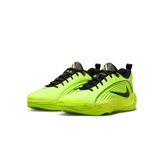Nike Basketbol Basketbol Ayakkabısı GIANNIS IMMORTALITY 5