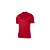 Nike BV6703-657 Erkek Futbol Forması