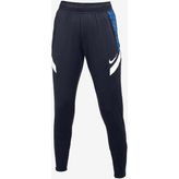 Nike CW6093-013 Kadın Eşofman Altı