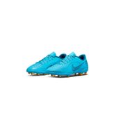 Nike Dj2895-484 Jr Vapor 14 Club Fg/mg Krampon