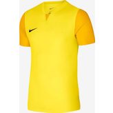 Nike Dri-Fit Trophy V Jsy Dr0933-719 Sarı Erkek Forma