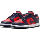 Nike Dunk Low Retro DV0833-601 Erkek Spor Ayakkabı