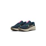 Nike FD6454-405 Downshifter 13 Erkek Koşu Ayakkabısı