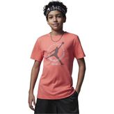 Nike Jordan Flight Official Member Graphic Çocuk Tişört - 10 - 12 Yaş - Renkli - Renkli