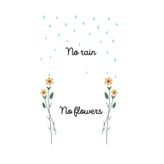 no rain, no flowers