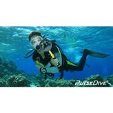 Nokta Pulse Dive Scuba Dedektörü Pointer