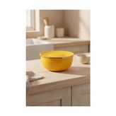 Nostalji Karıştırma Kabı, Hardal, 24 cm