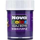 Nova Color Guaj Boya Mor Şişe - 4 Adet