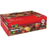 Nova Color NC-461 12'li Guaj Şişe Boya