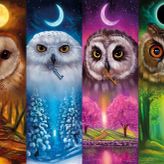 Nova Puzzle 1000 Parça Dört Mevsim Baykuşlar