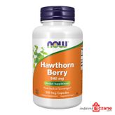 Now Hawthorn Berry 540 mg 100 Kapsül