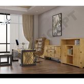 NTCollection Foe Doğal Ahşap Ofis Ve Çalışma Odası Takımı - 240'lık Takım