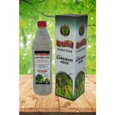 Nursima Çam Çırası Bitki Suyu 1 Lt