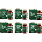 Nutraxin Ginkgo Biloba 60 Tablet X6 Adet