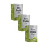 Ocean Rhodiola 250 mg 3x30 Kapsül