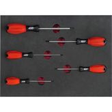 Odea Brio Tornavida Seti Torx 5 Parça T10-T30 Sünger Yataklı