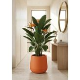 Odea Dekoratif Modern Tabak Saksı, 34X28 Cm, Turuncu, Plastik