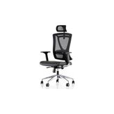 Odea Ergonomik Çalışma Koltuğu, Parox Model